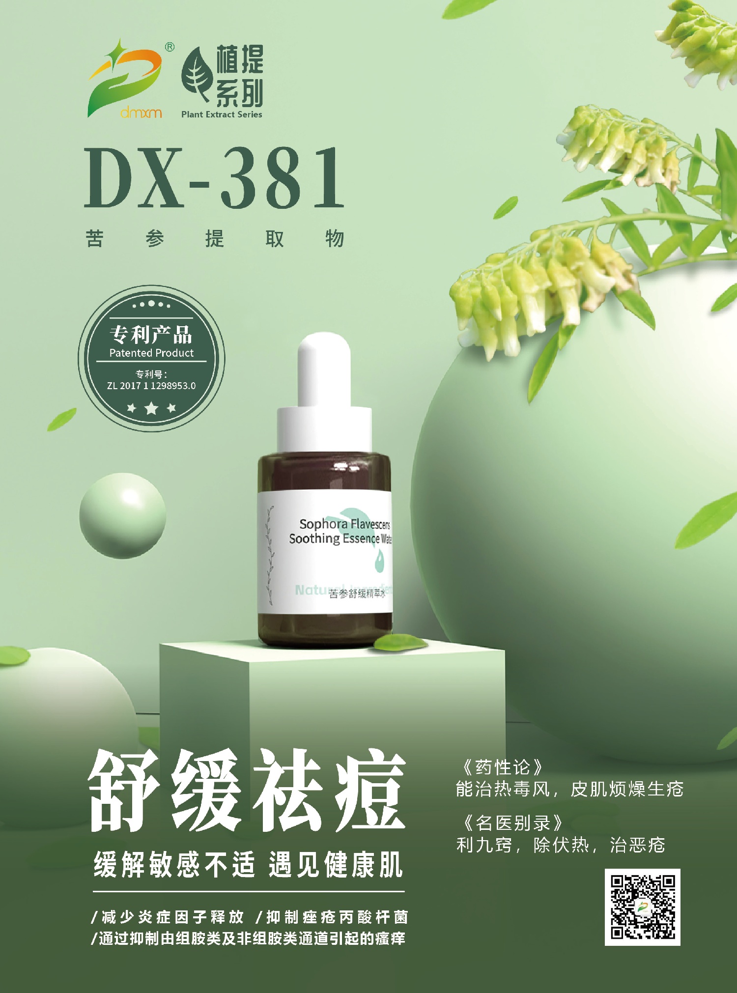 苦參提取物產(chǎn)品海報(bào)A_畫板 1(1).jpg